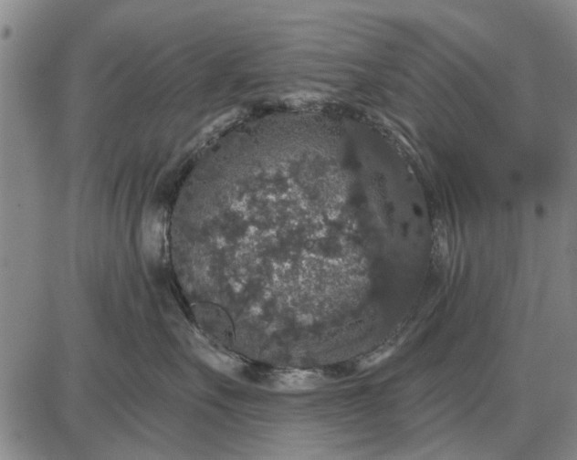 X0000087680527200705181733