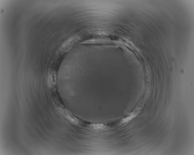 X0000087680528200705181733