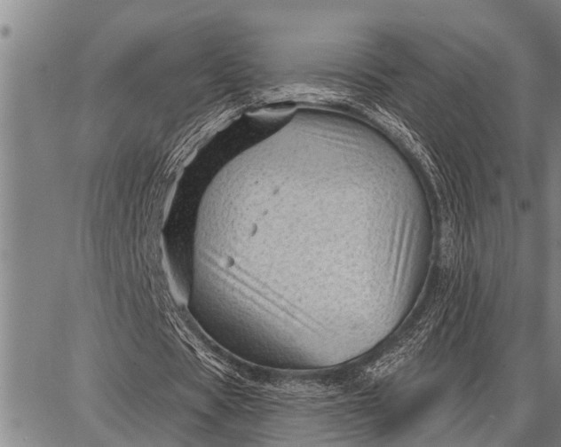 X0000087680529200705181732