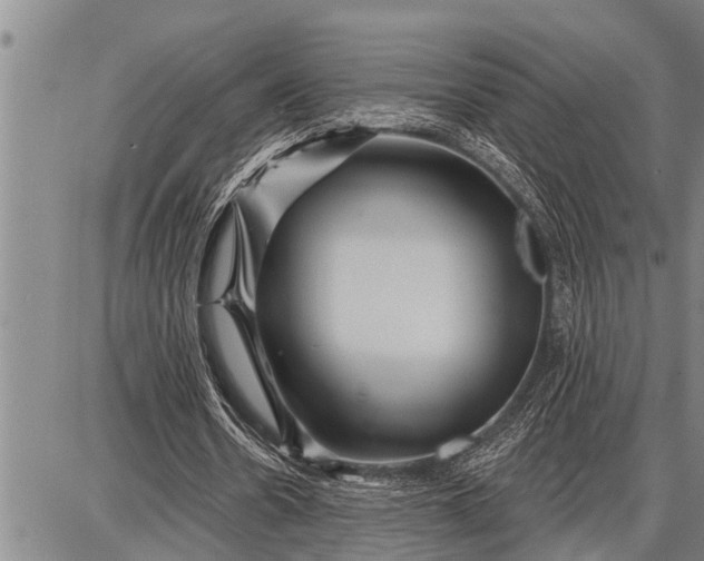 X0000087680530200705181732