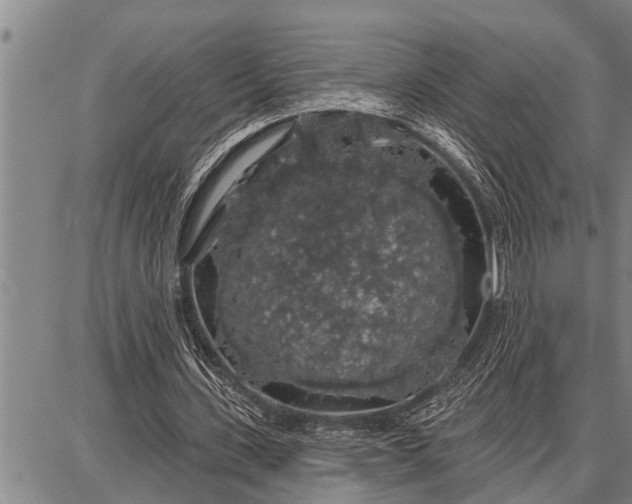 X0000087680531200705181732