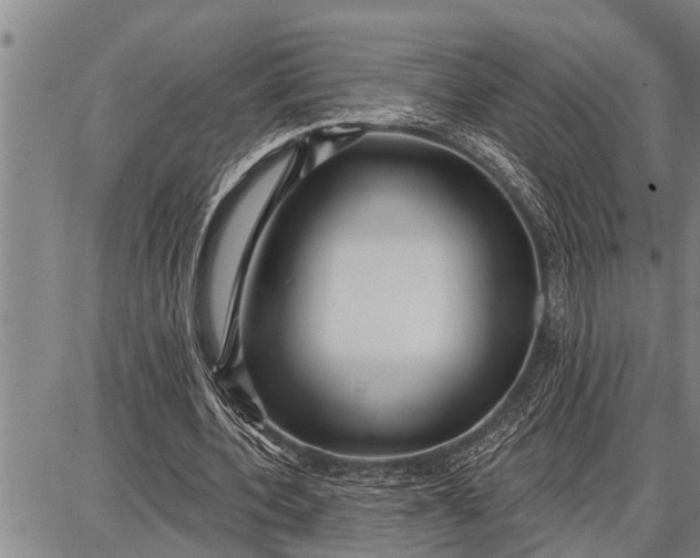 X0000087680532200705181732