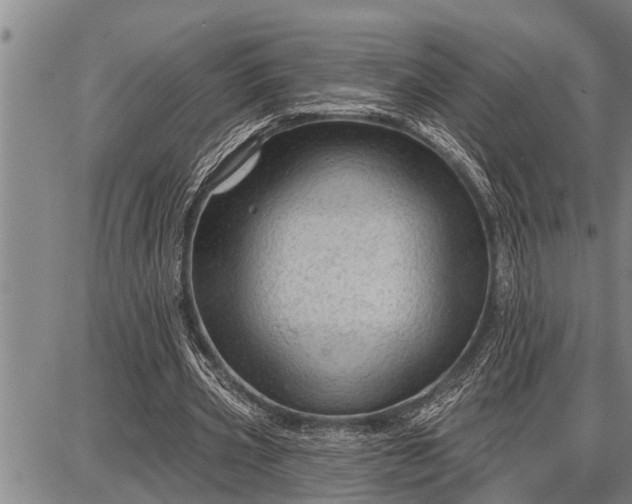 X0000087680533200705181732