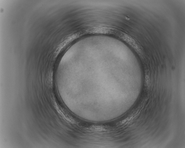 X0000087680534200705181732