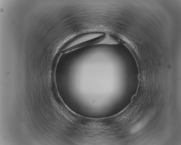 X0000087680535200705181732