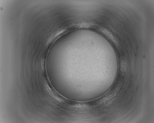 X0000087680537200705181732