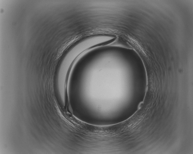 X0000087680538200705181732