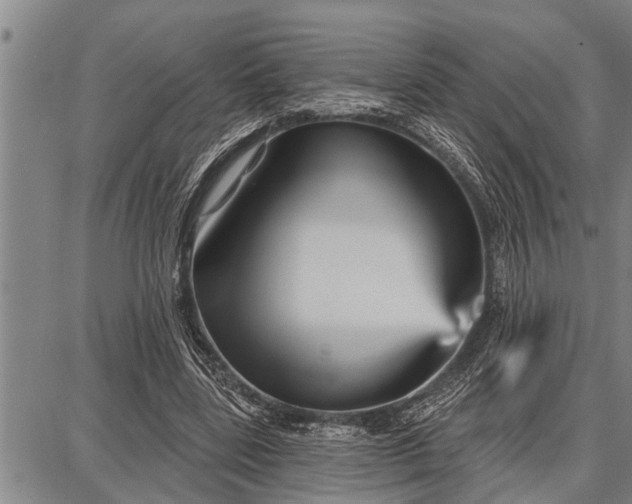 X0000087680539200705181732