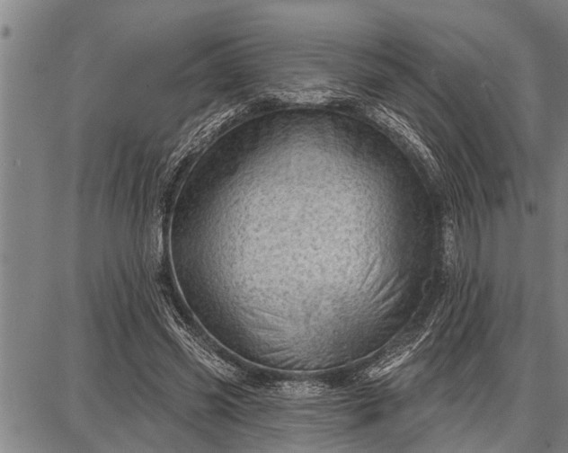 X0000087680541200705181732