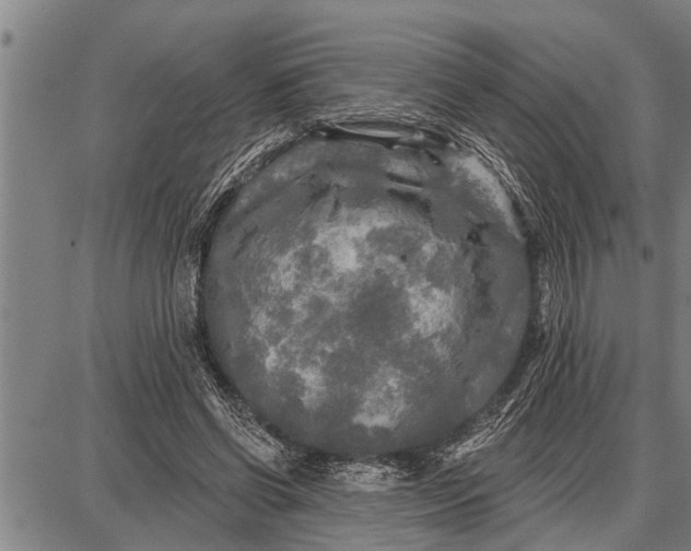 X0000087680542200705181732