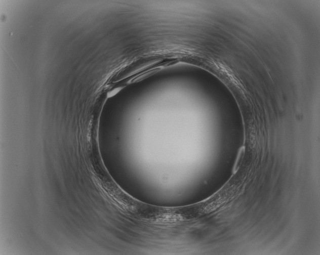 X0000087680543200705181732