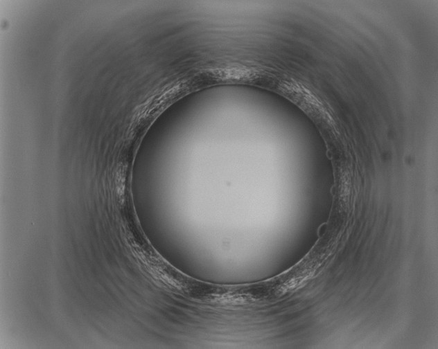 X0000087680545200705181732