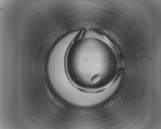 X0000087680546200705181732