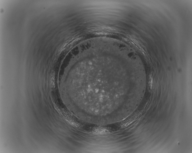 X0000087680547200705181732