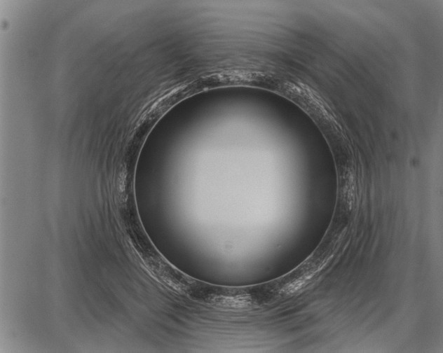 X0000087680548200705181732