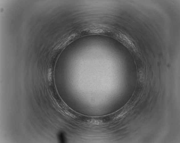 X0000087680549200705181732