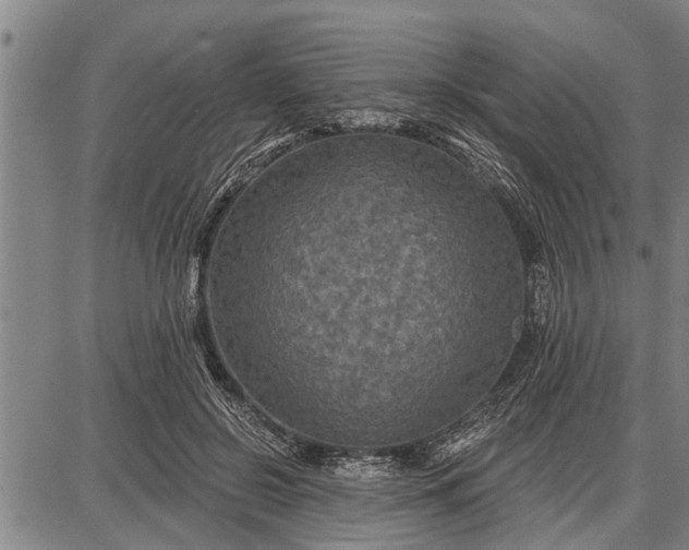 X0000087680550200705181732