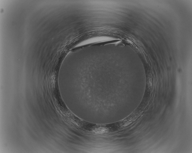 X0000087680551200705181732