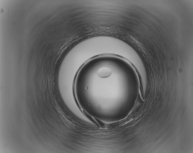 X0000087680552200705181732