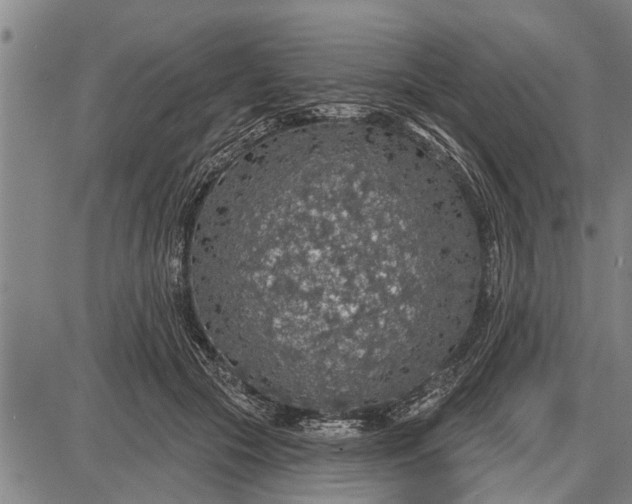 X0000087680553200705181732