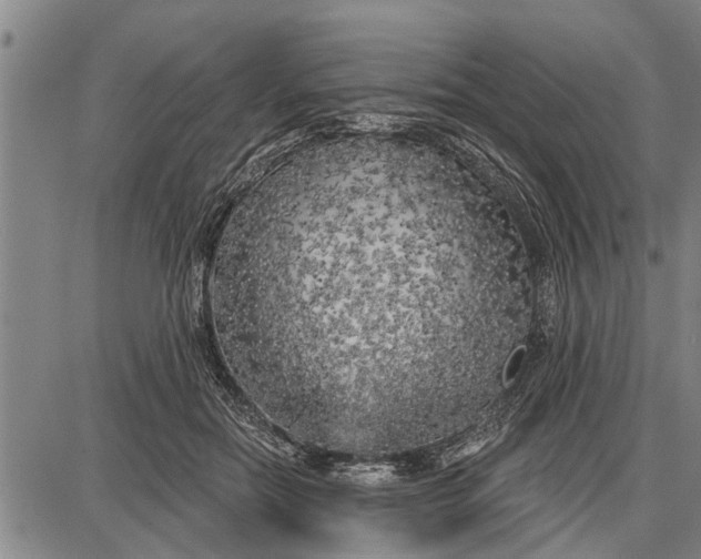 X0000087680554200705181732