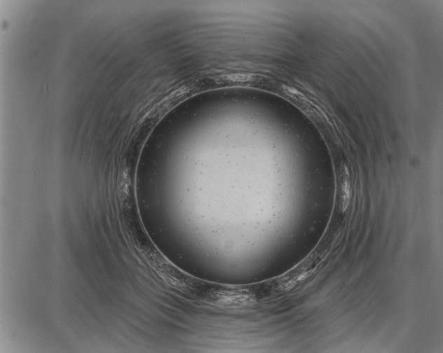 X0000087680555200705181732