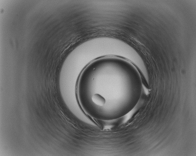 X0000087680556200705181732