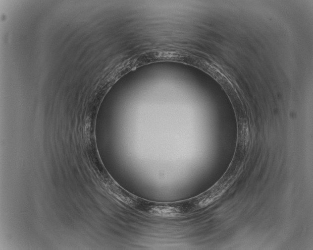 X0000087680557200705181732