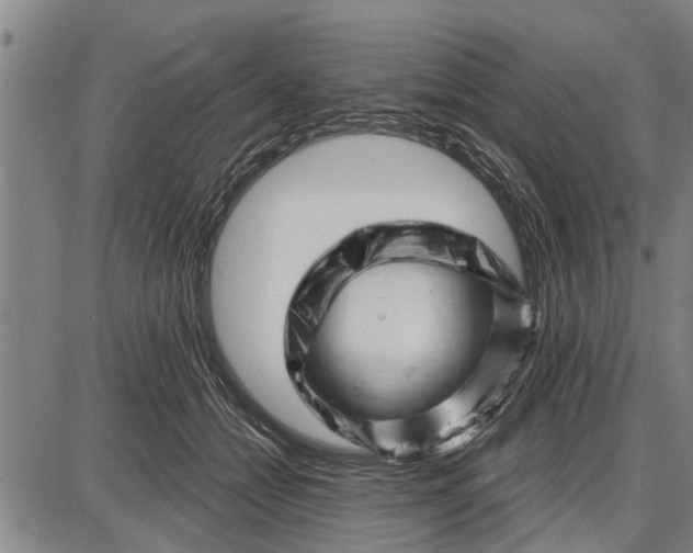 X0000087680558200705181732