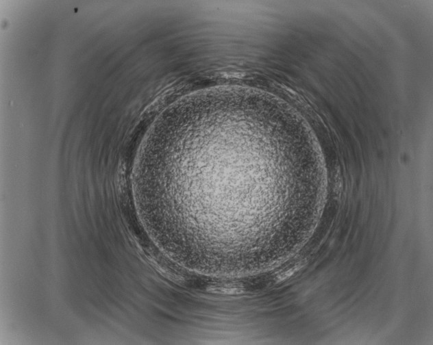 X0000087680559200705181732