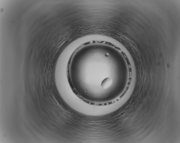 X0000087680560200705181732