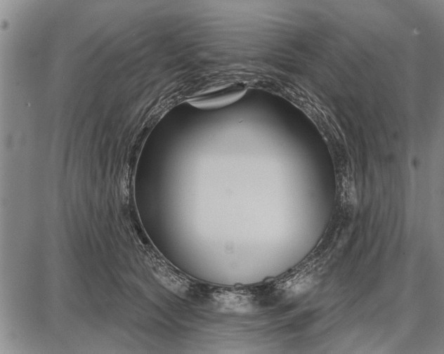 X0000087680561200705181732