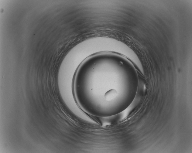 X0000087680562200705181732