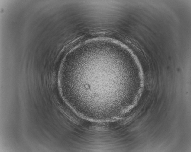 X0000087680563200705181732