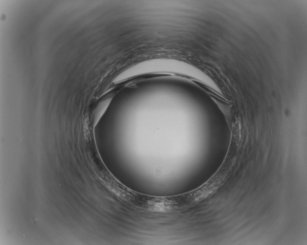 X0000087680564200705181732