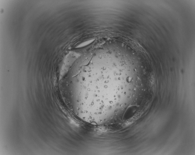 X0000087680565200705181732