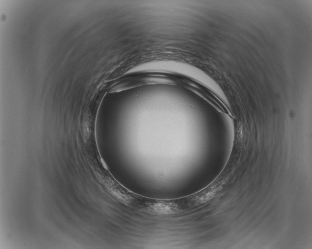 X0000087680566200705181732