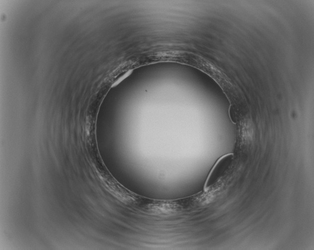 X0000087680567200705181732