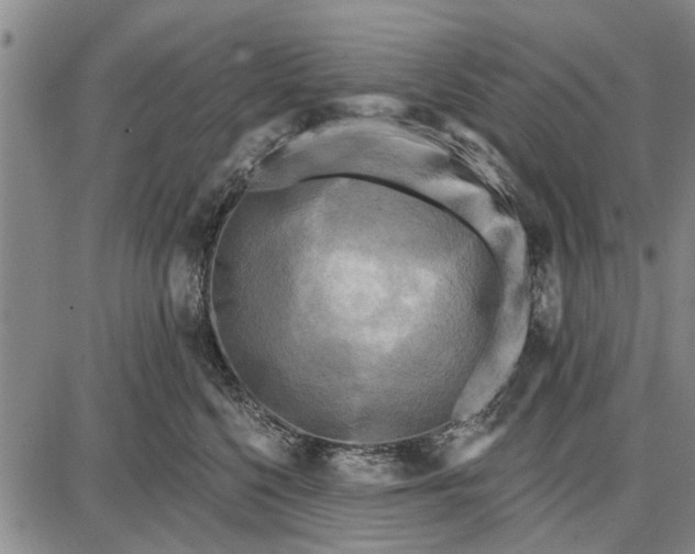 X0000087680568200705181732