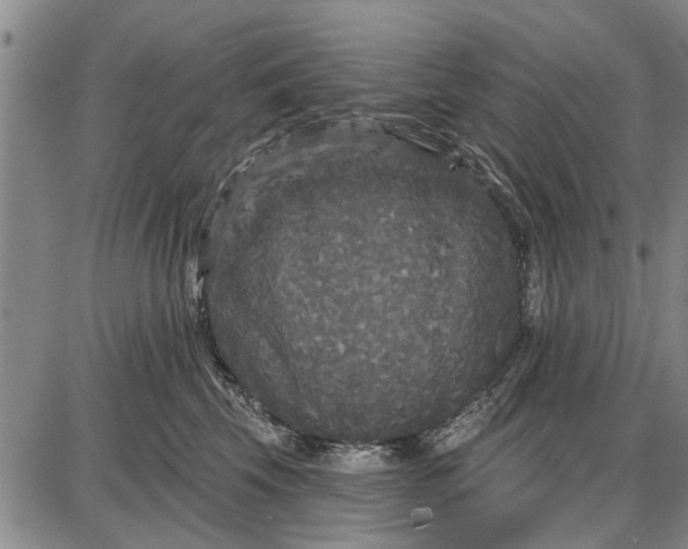 X0000087680569200705181732