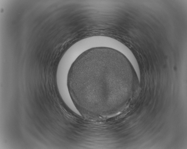 X0000087680570200705181732