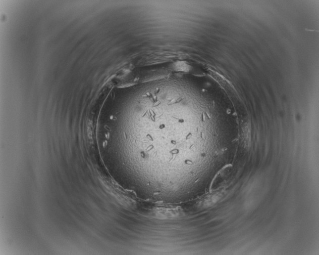 X0000087680571200705181732