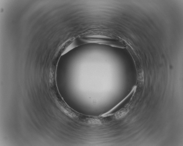 X0000087680572200705181732