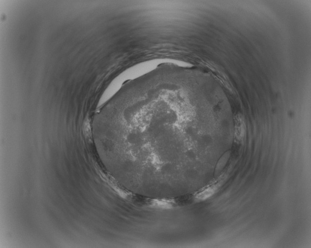 X0000087680573200705181733