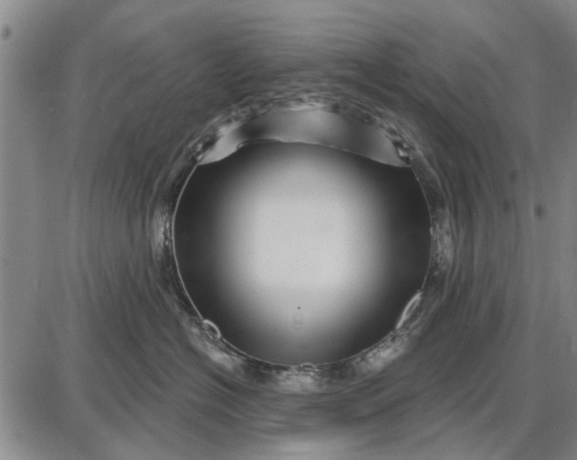 X0000087680574200705181733