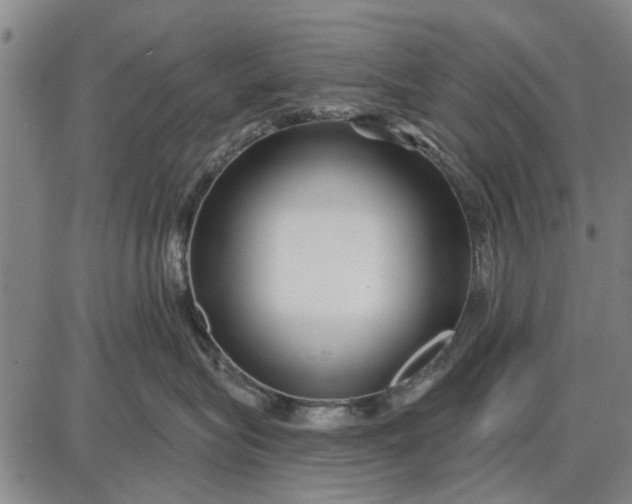 X0000087680575200705181733