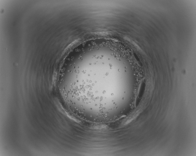 X0000087680576200705181733