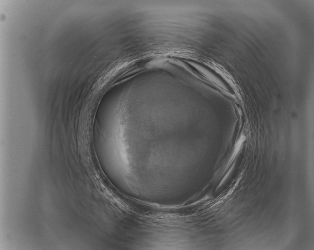 X0000087680577200705181732