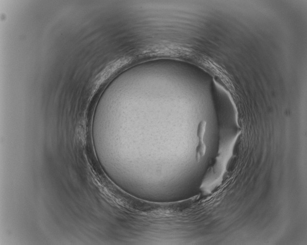 X0000087680578200705181732