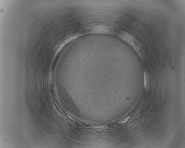 X0000087680579200705181732